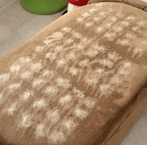 Pawsy's Glove™ - Pet Hair Remover Glove